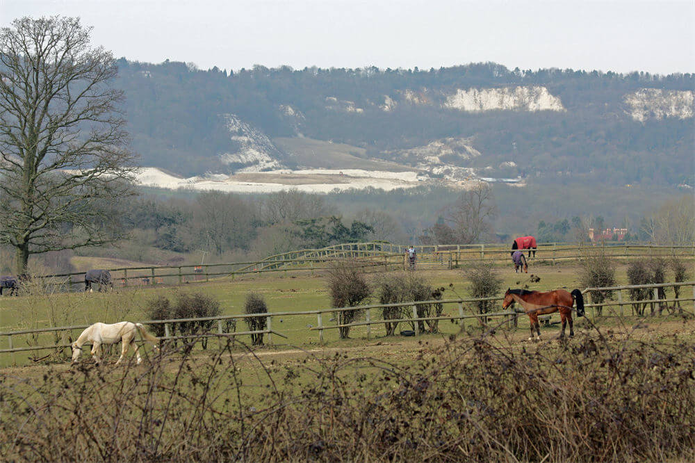 奥克斯特德(Oxted)