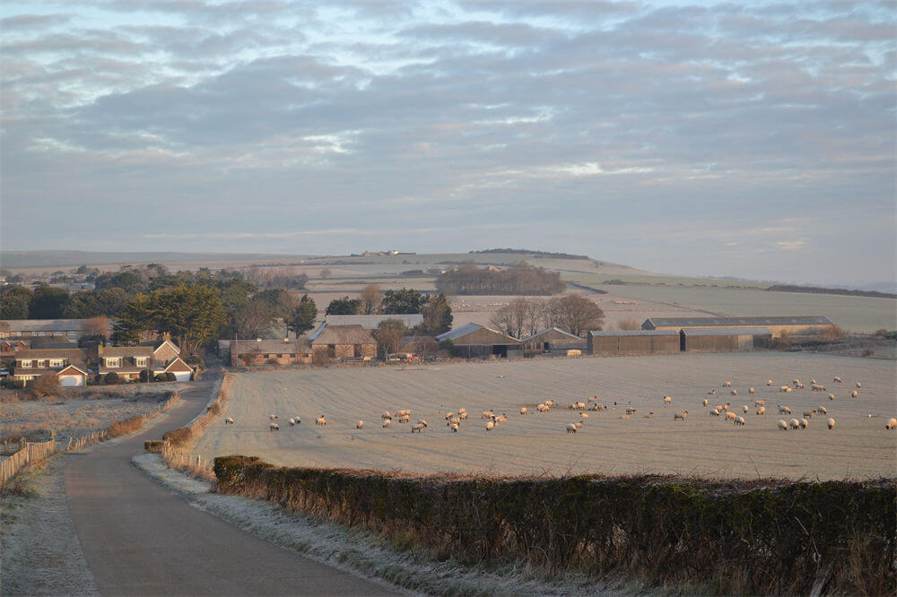 西福德(Seaford)