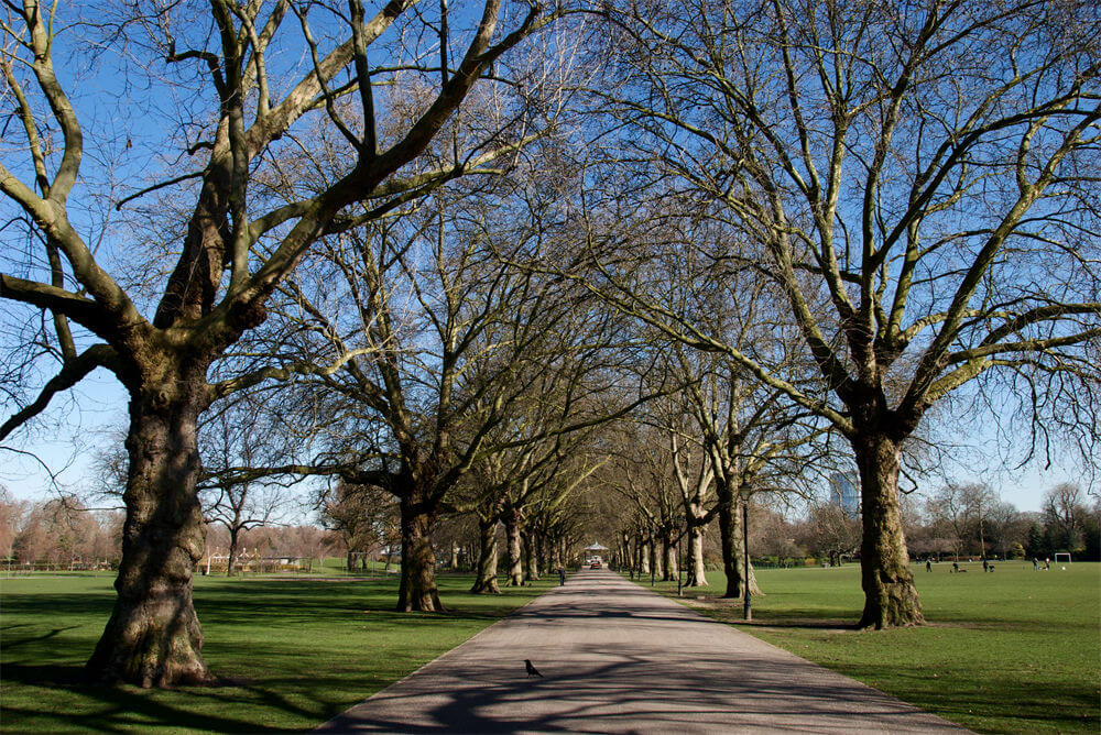 巴特西公园(Battersea Park)