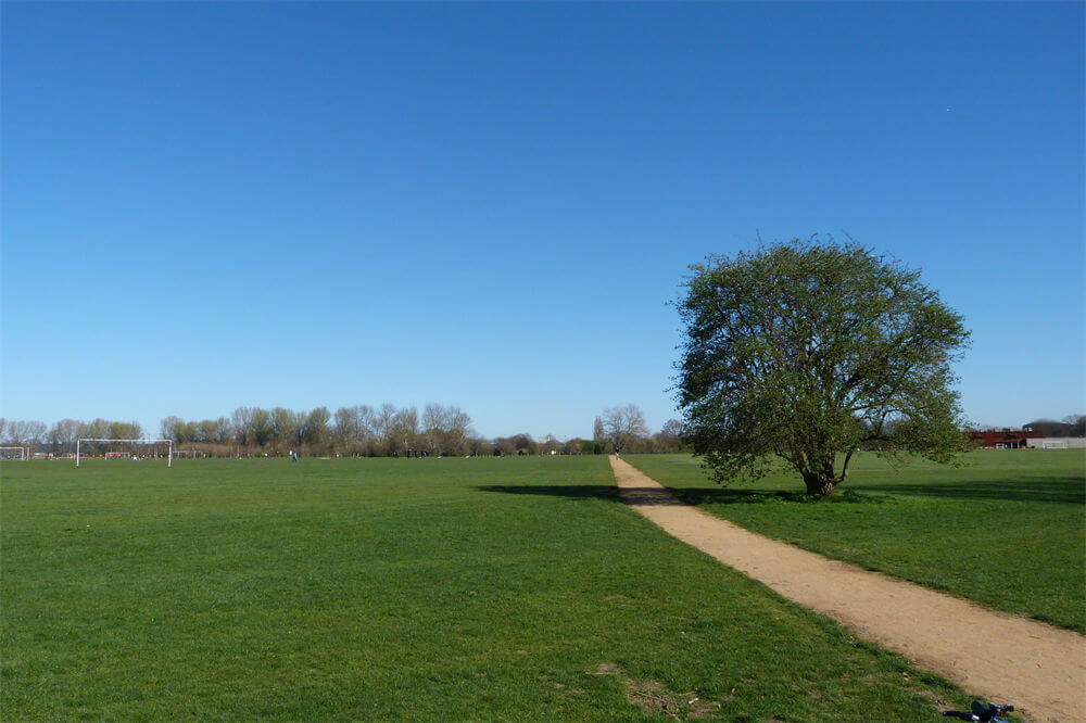 哈克尼沼泽地(Hackney Marshes)